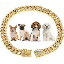 Klobiges goldenes Hundehalsband – S/M-Hund