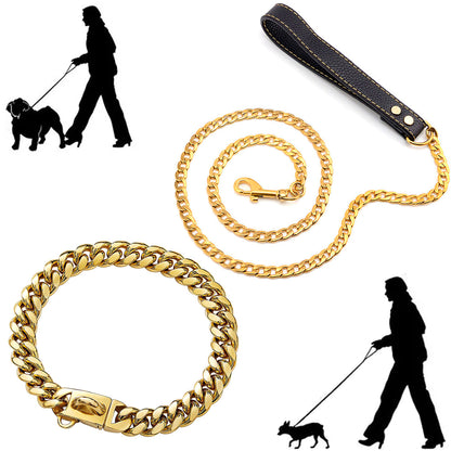 Chunky Gouden Hondenhalsband - Maat S/M Hond