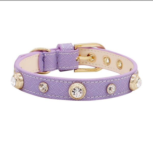 Luxuriöses Hundehalsband Bling