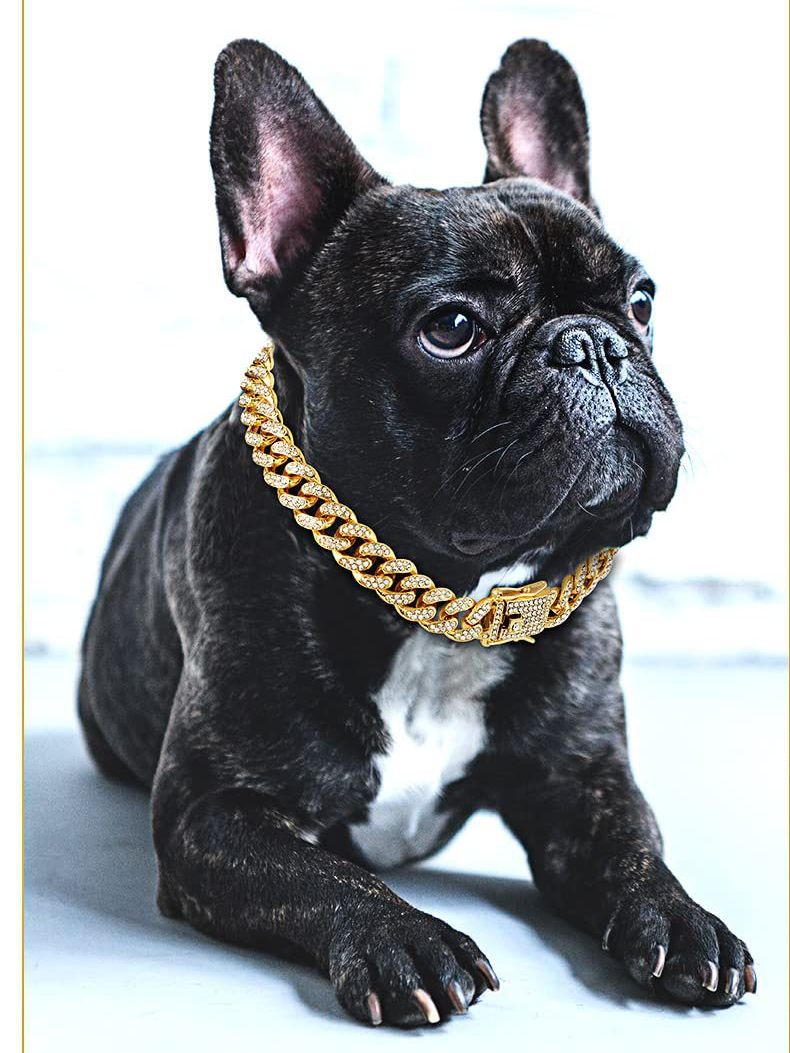 Chunky Gold Hundhalsband - Hund i S/M-storlek