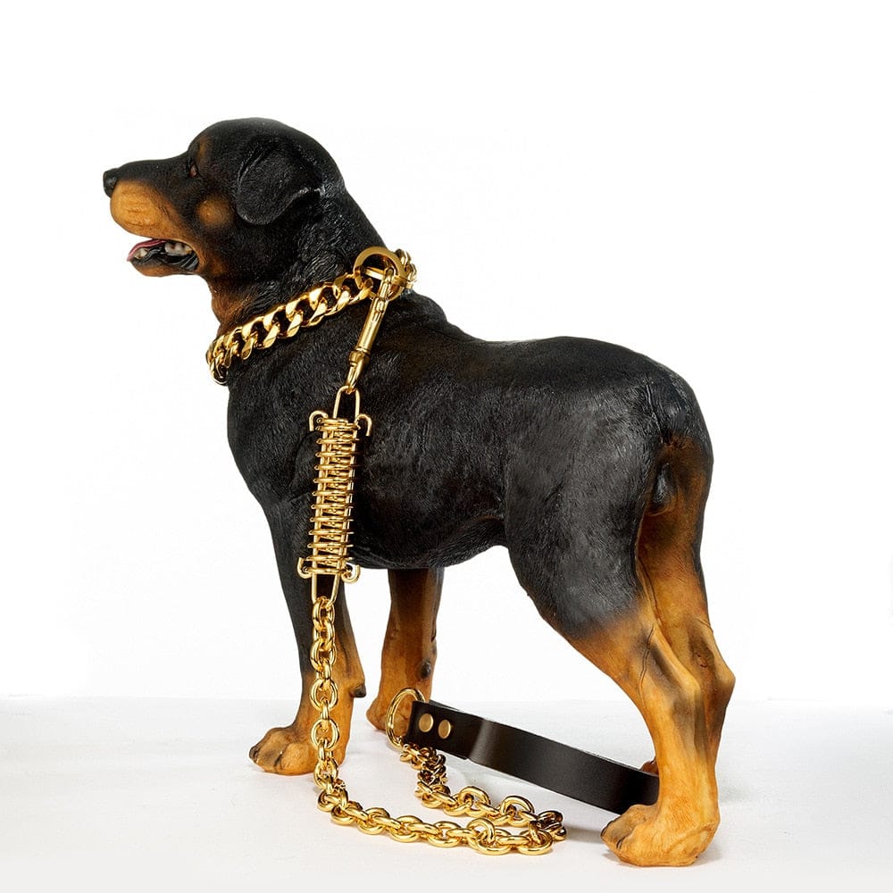 VVS Jewelry hip hop jewelry Gold/Silver Cuban Link Dog Rope Leash